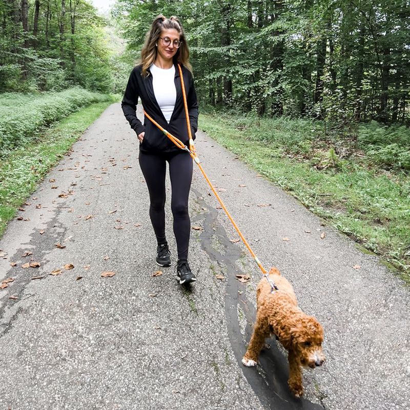 Running Gear Holder - Reflective Hands-Free Dog Leash for Hiking,