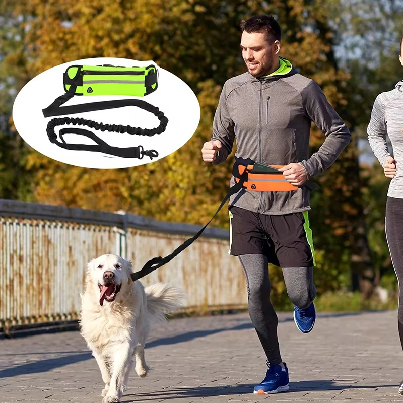 Hands Free Dog Leash for Runni - Running Gear Holder recension och pris
